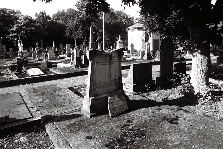 Terrace End Cemetery (2023) photo