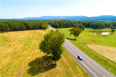 Hwy. 22, just west of Dardanelle.