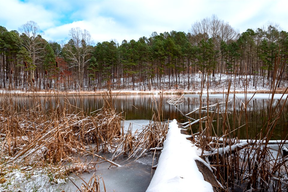 Utah Pond in the Wayne National Forest