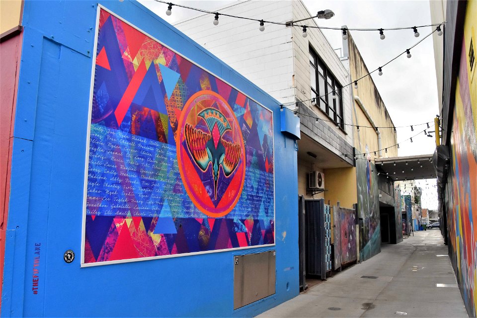 Mackay Mural Tail