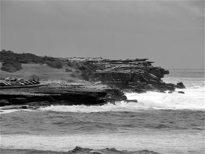 Coogee Seaside XIV