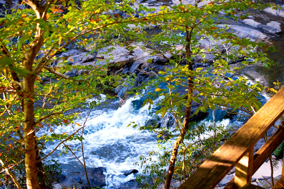 Eno Park NC