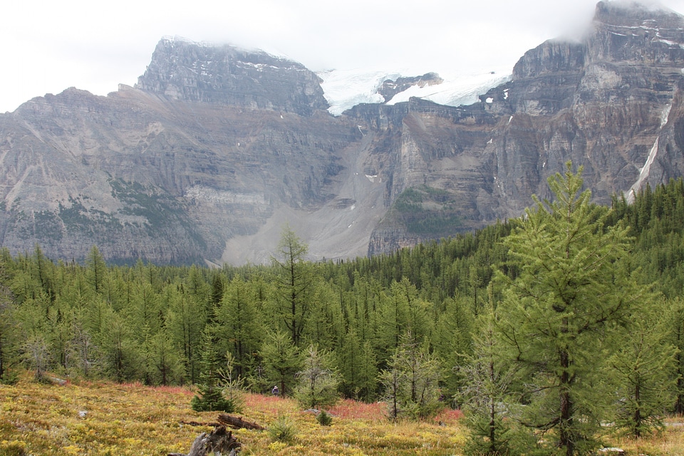 Valley of Ten Peaks. Banff National Park