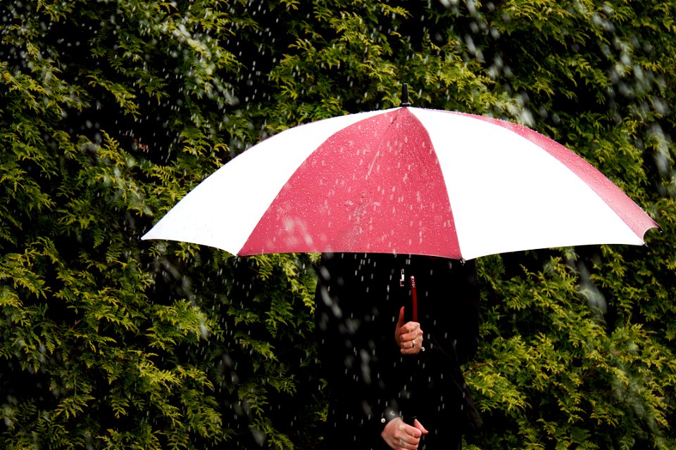 RainyDay_1_Collins