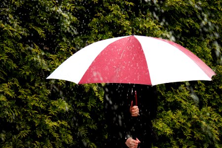 RainyDay_1_Collins