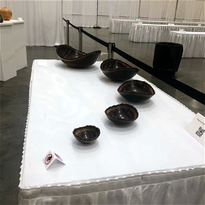 AAW 2022 Woodturners Symposium