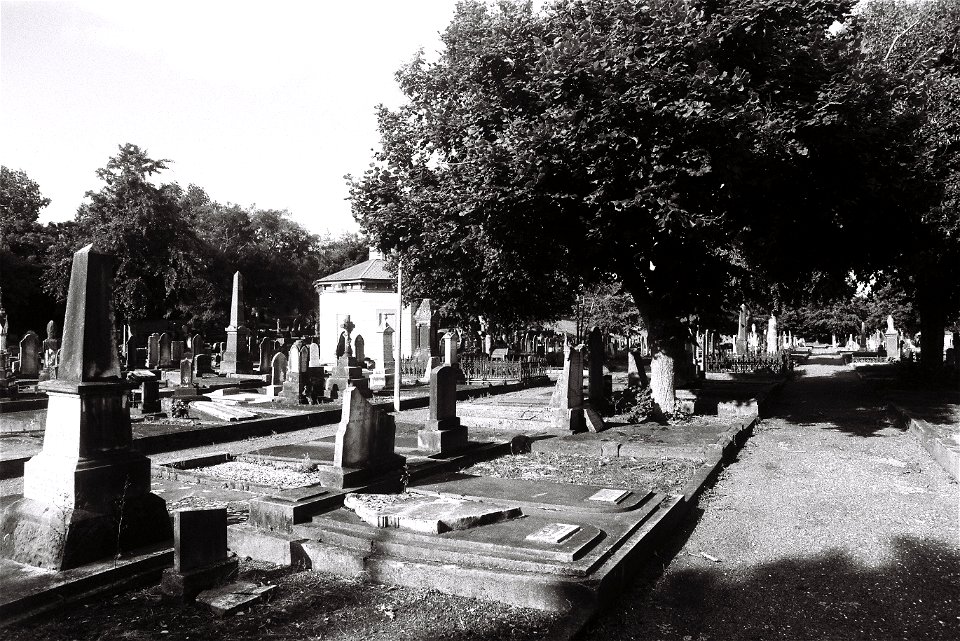 Terrace End Cemetery (2023)