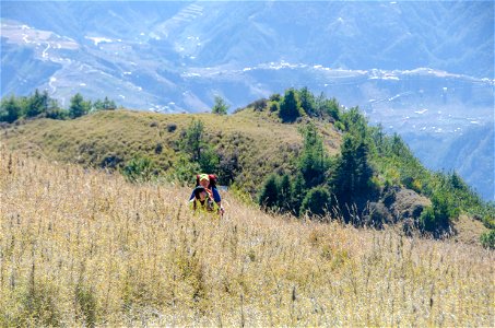 志佳陽大山-50