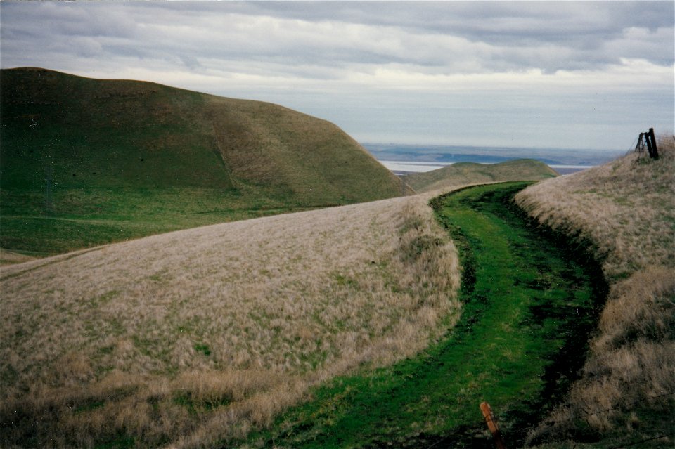 HAYES-BLACK D.-WESTERN BLACK DIAMOND MINE PRESERVE- LOOKING NORTH TO THE CCARQUINEZE STRAIGHTS