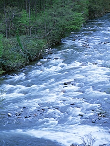 The Image Of The Flowing Water Of Stream photo