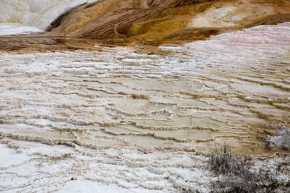 Colorful geyser in Yellowstone National Park