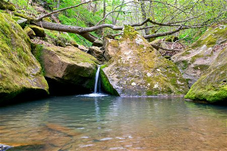 Marietta Unit of the Wayne National Forest