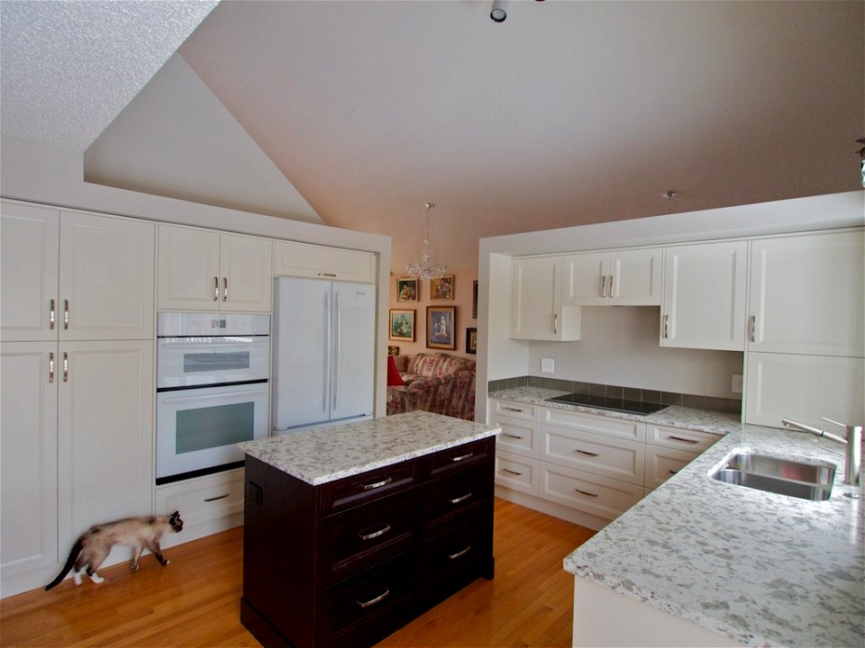 FOLLOW THE KITCHEN RENO: end of day 24 (daylight shot)