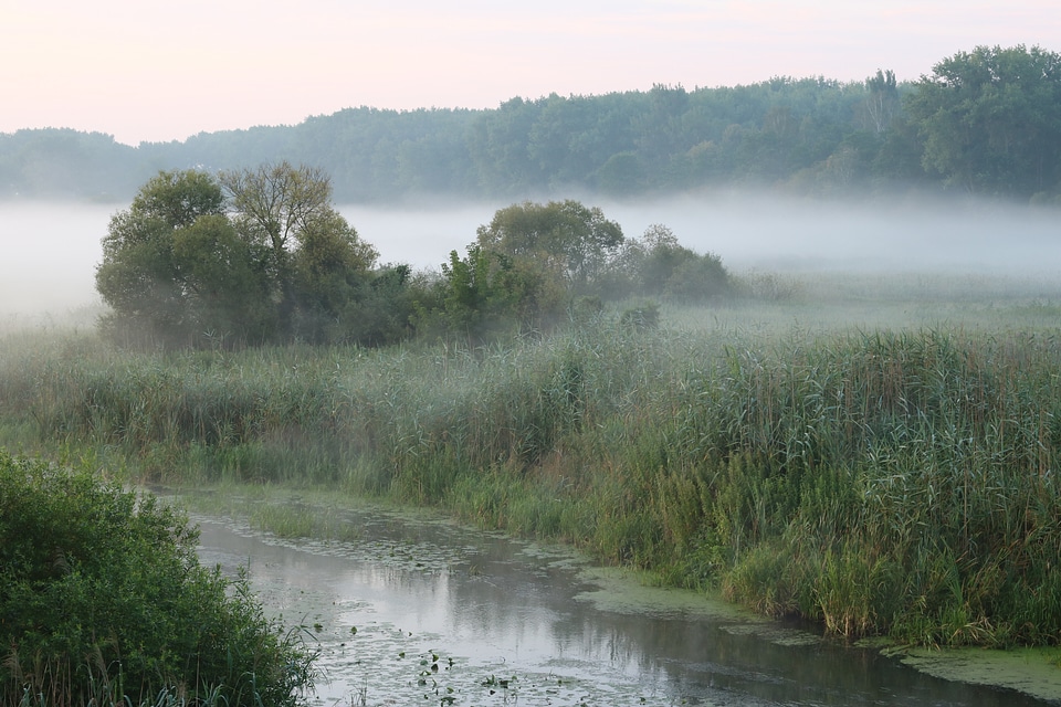 Desna river Vinn meadow