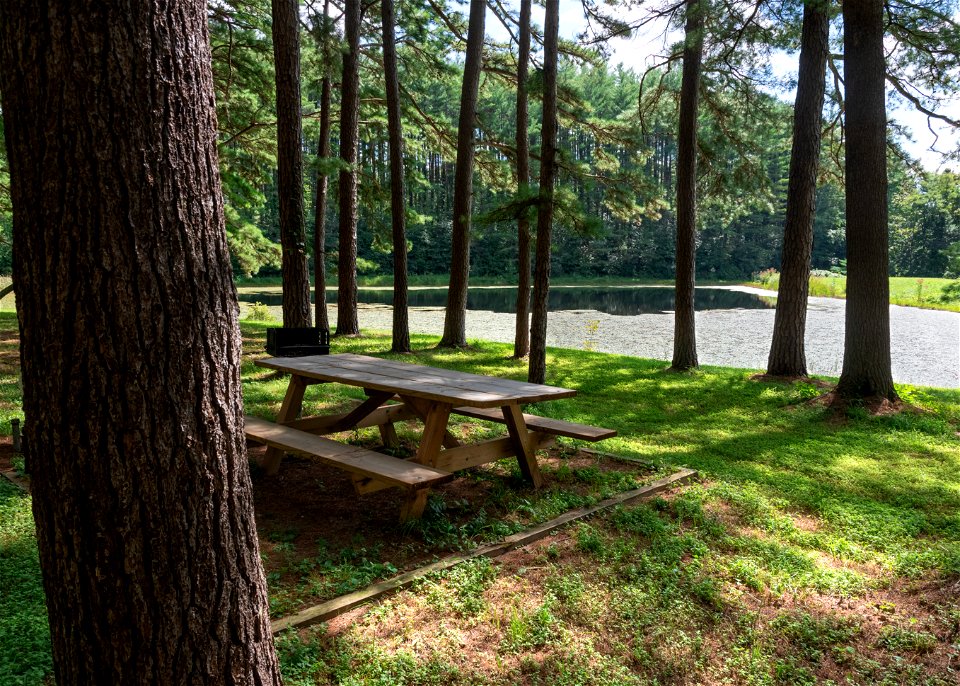 Sand Run Pond Picnic Area