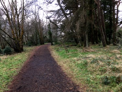 Walking trail Vartry Reservoir