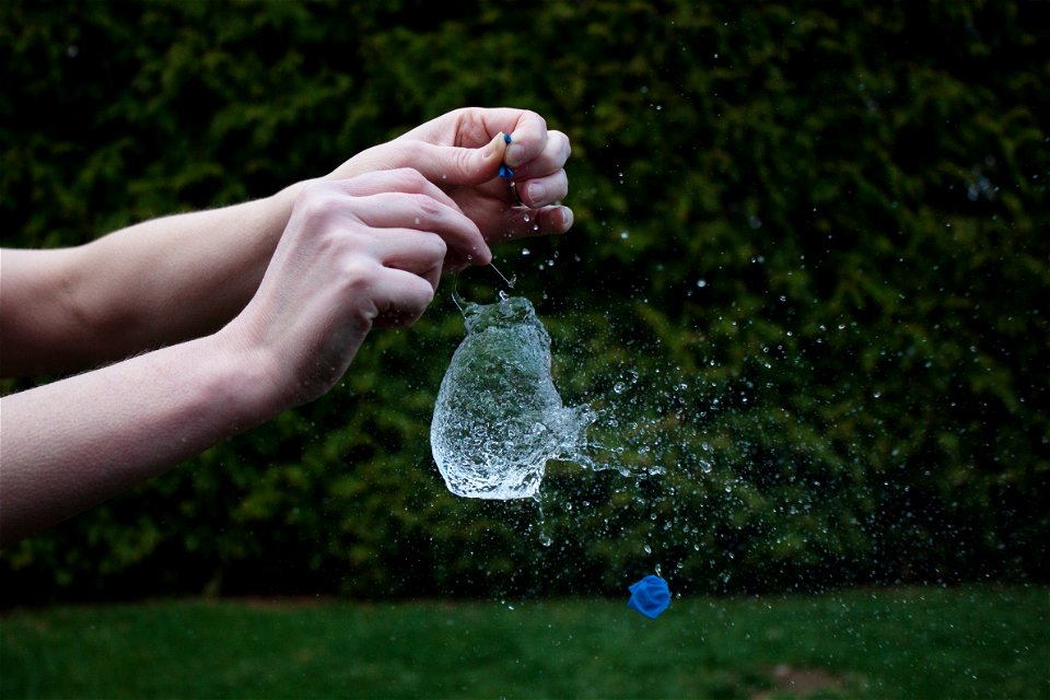 P4_FrozenMotion_1_Collins