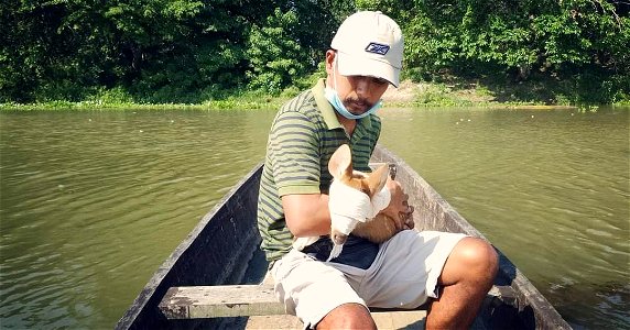 Manoj Gogoi rescues a hog deer in Kaziranga