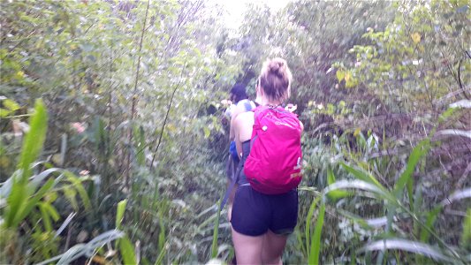 Morning Hiking
