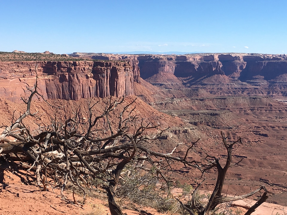 Desert landscape in Sedona, Arizona with plants photo