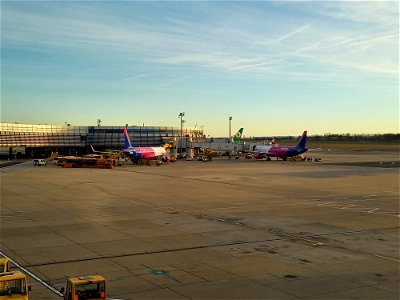 Wizz Air Planes parked at Vienna Airport