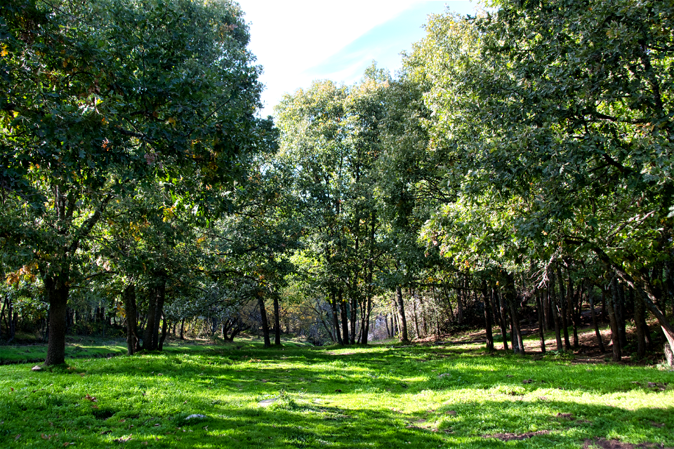 La Sierra del Rincón