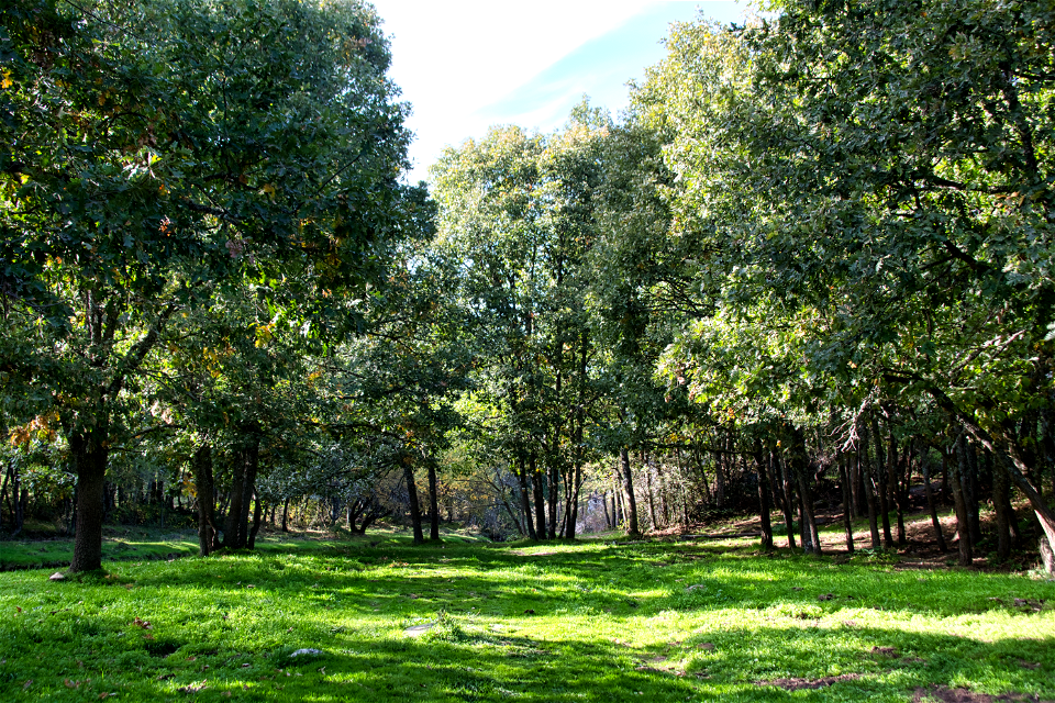 La Sierra del Rincón photo