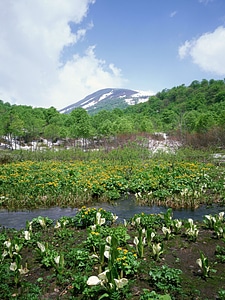 Summer landscape with river and mountain snow. photo