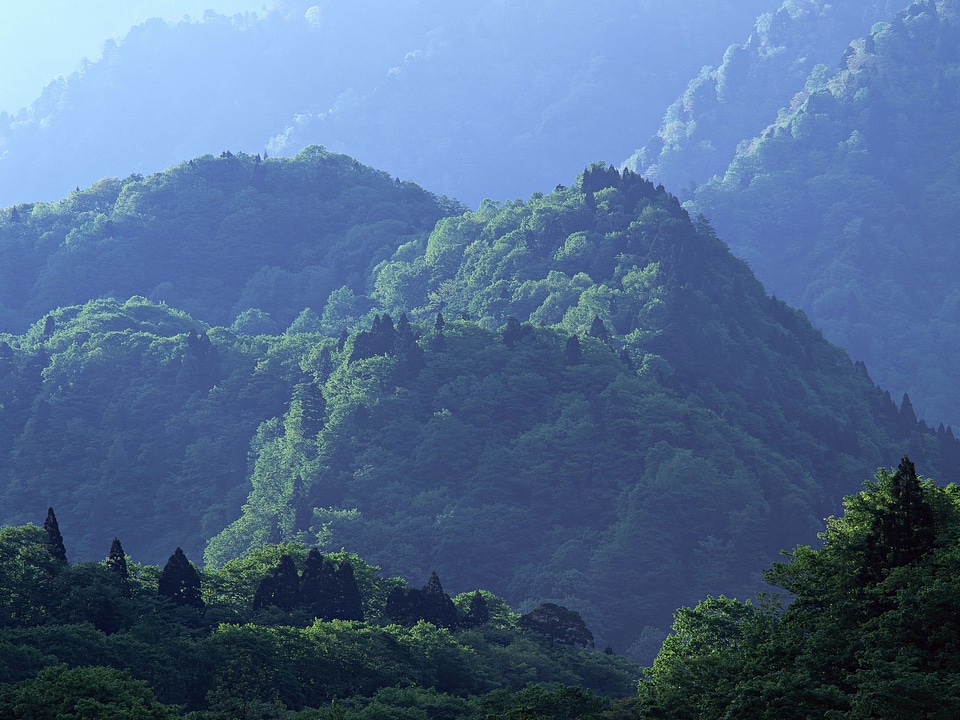 Beautiful summer landscape in the mountains.