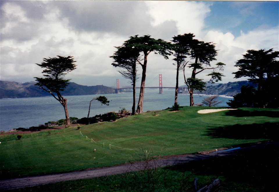 HAYES-MISC.-GOLDEN GATE BRIDGE FROM GOLF COURSE NEAR JAPANESE GARDENS AND MUSEUM