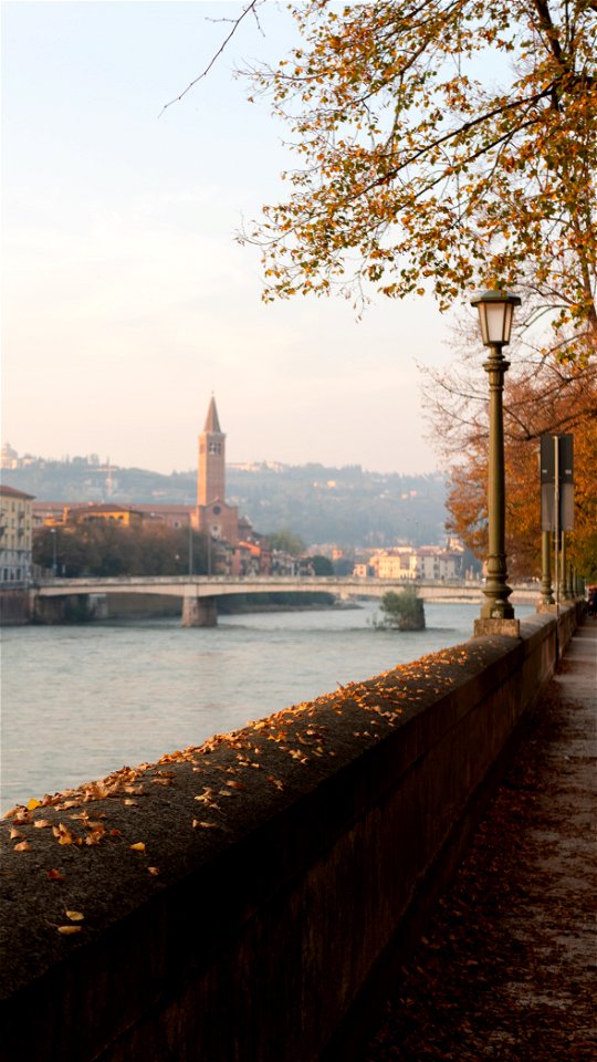 Autumn in Verona