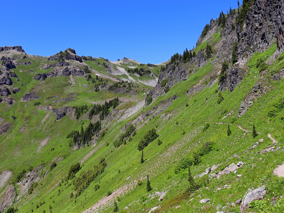 Goat Rocks Wilderness