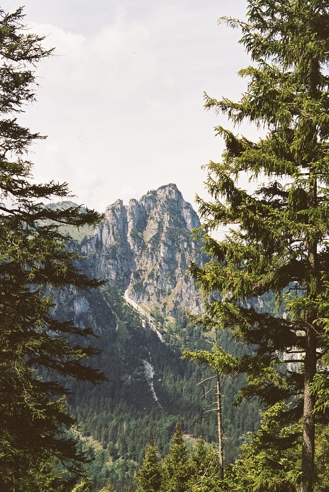 Mountain forest adventure trail