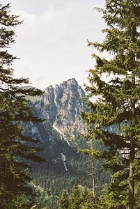 Mountain forest adventure trail