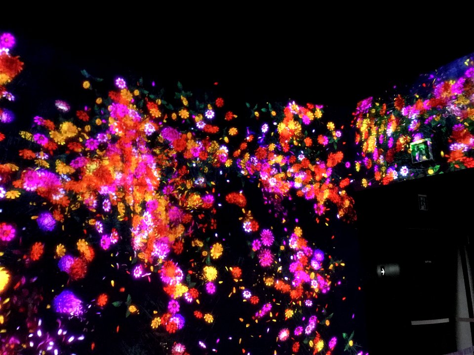 teamLab