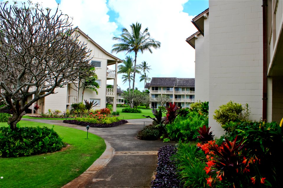 Islander on the Beach 259