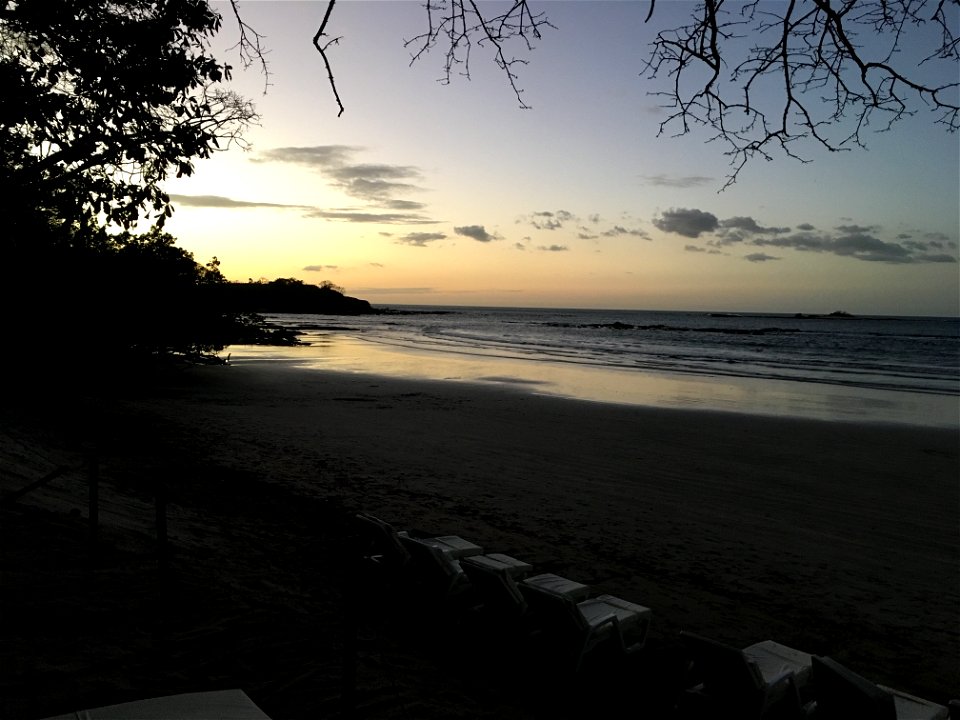 Tamarindo 2017