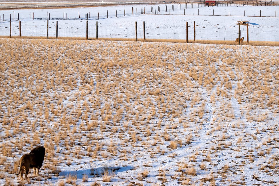 DSC_0140