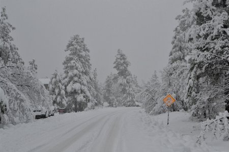 Long Snowy Road (1)