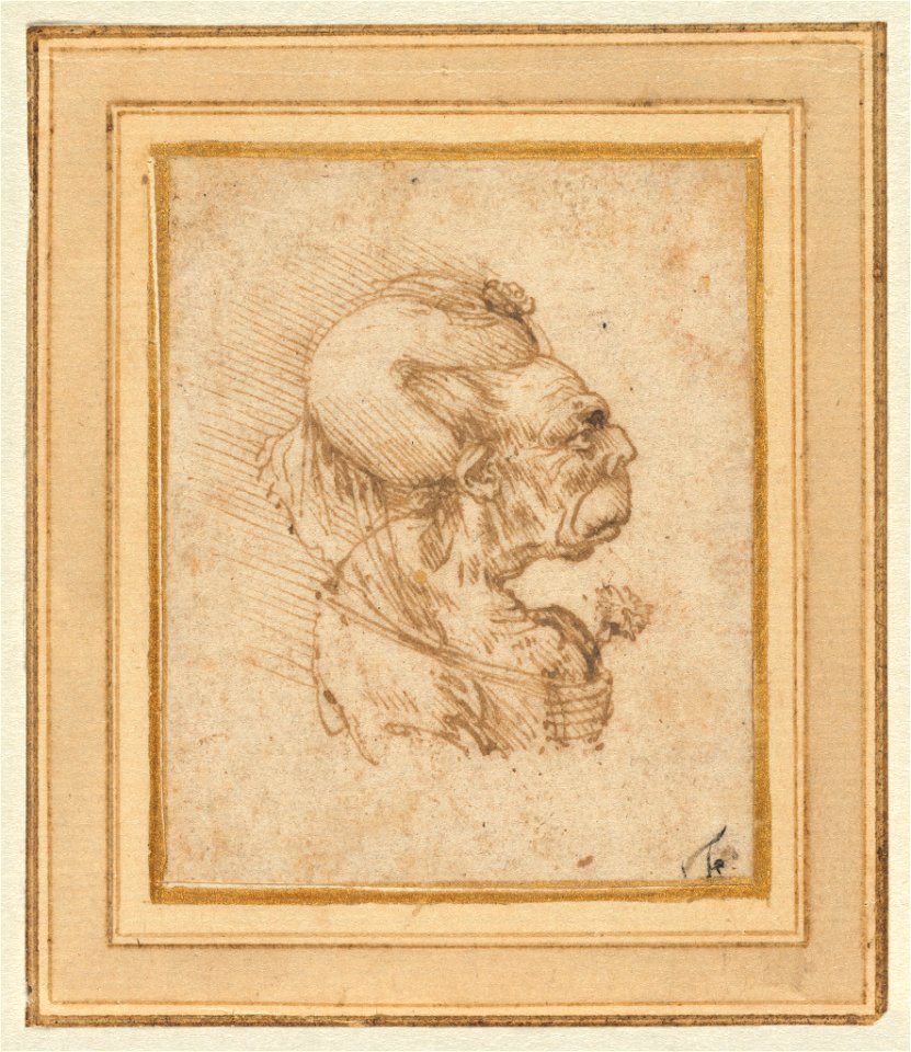 Grotesque Head of an Old Woman by Leonardo da Vinci
