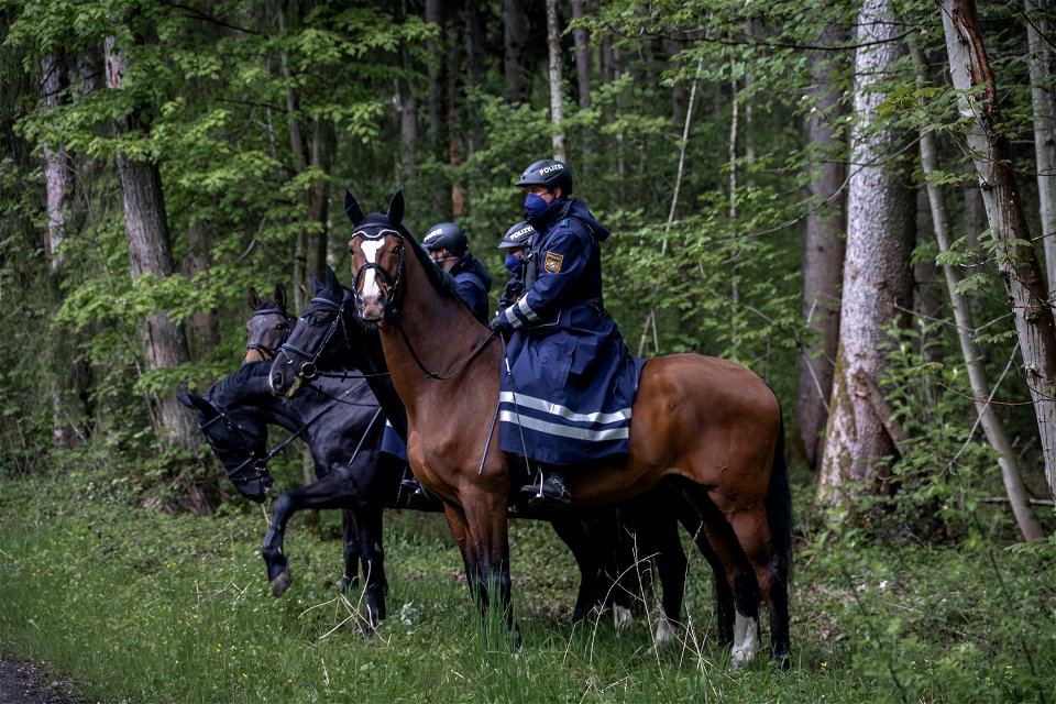 _DSC0491