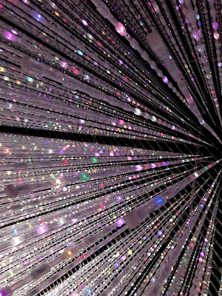 チームラボボーダレス お台場 teamLab Borderless