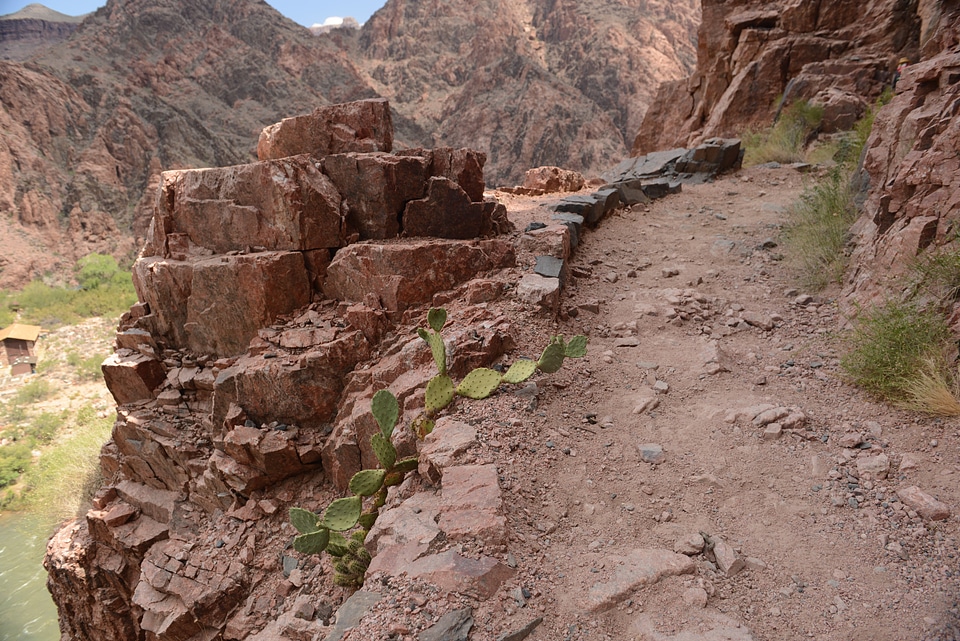 Colorado River overlook from the Shafer Trail in Utah