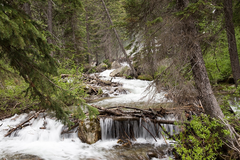 Cascade Canyon Trail in Grand Teton National Park
