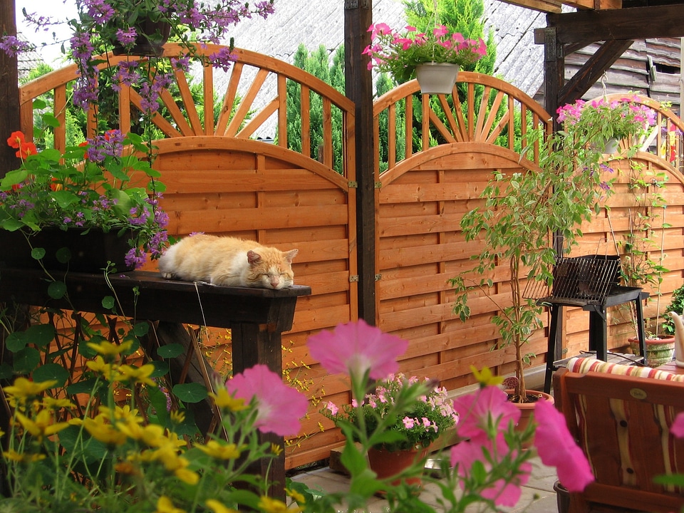 Camacho sleep terrace