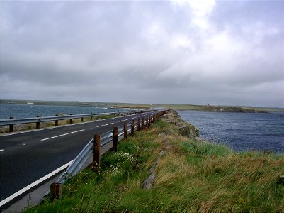 IMGP1355