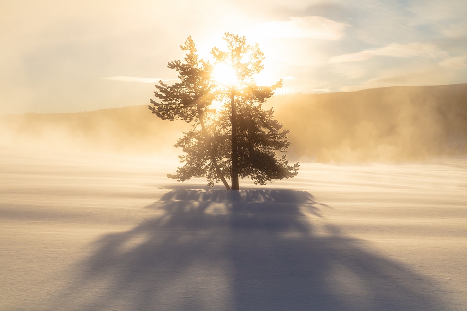 Sunrise near Terrace Spring