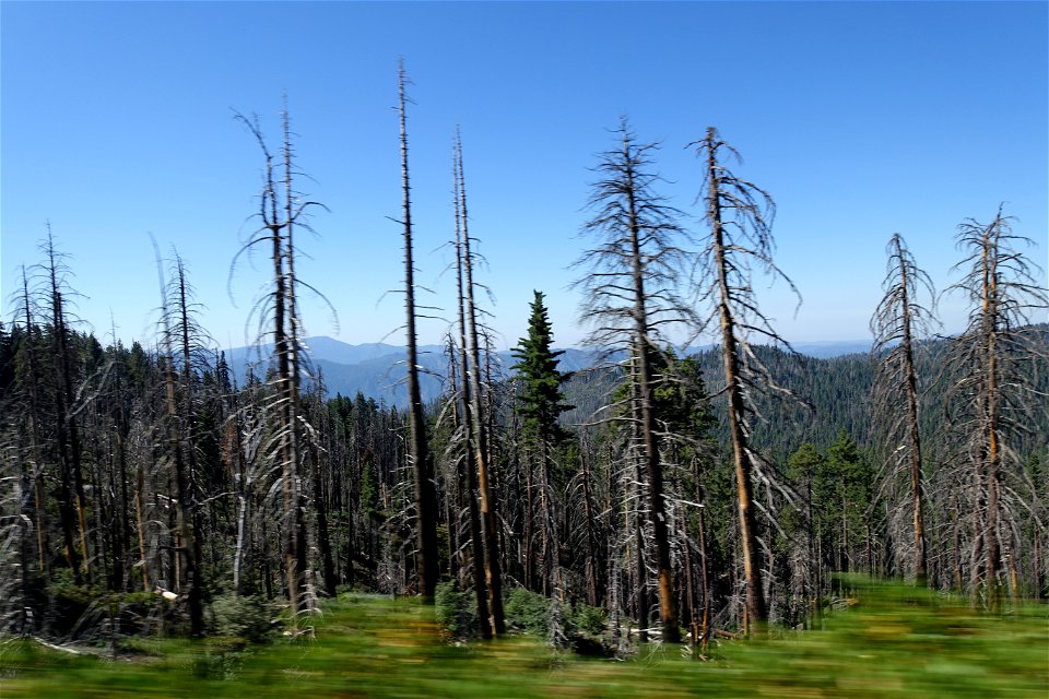 DSC00157
