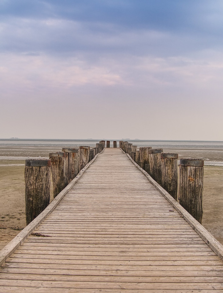 Wooden path through the dunes
