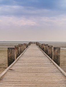 Wooden path through the dunes
